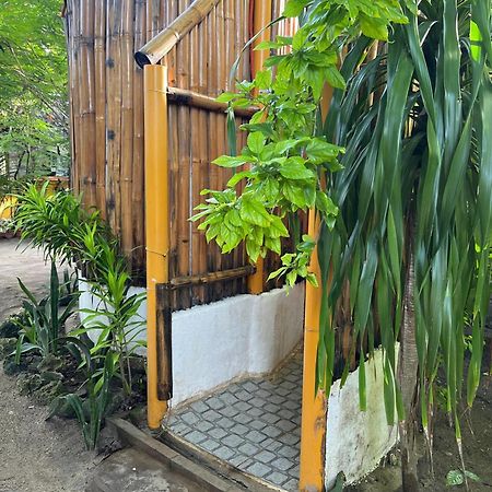 Georgia'S Neverland Hostel Logon Luaran gambar